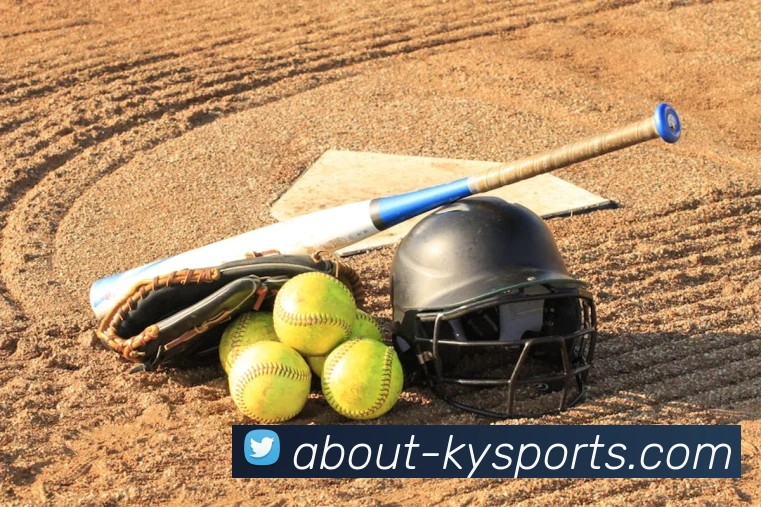 球赛投注平台生态图