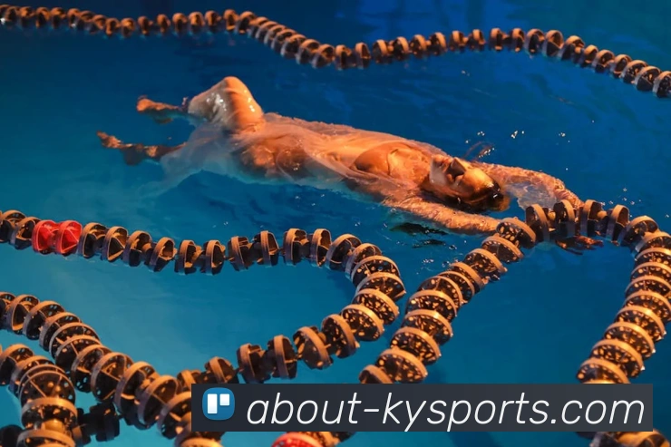 球赛投注APP 封面图